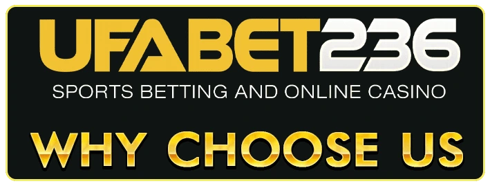 Why Choose Us